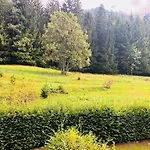 Appartement Duplex Chamonix