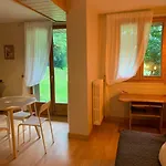 Chamonix Studio Jardin