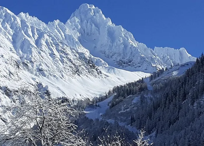Chalets Pyrene Mont-Blanc