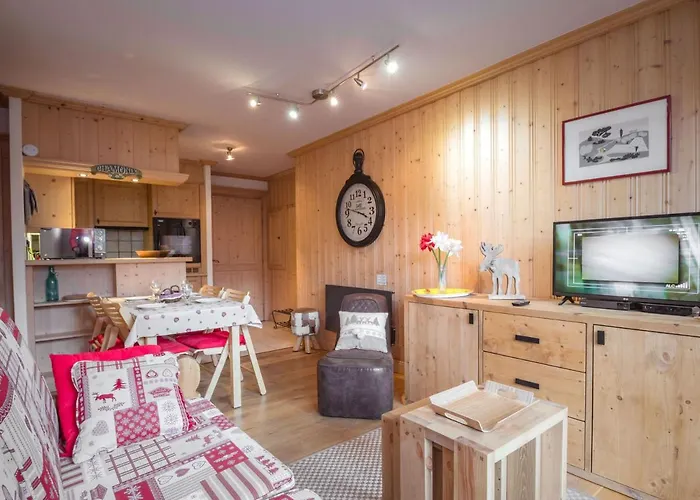Appartement 3 Etoiles Proche Des Pistes A Chamonix Avec Parking - Fr-1-343-163