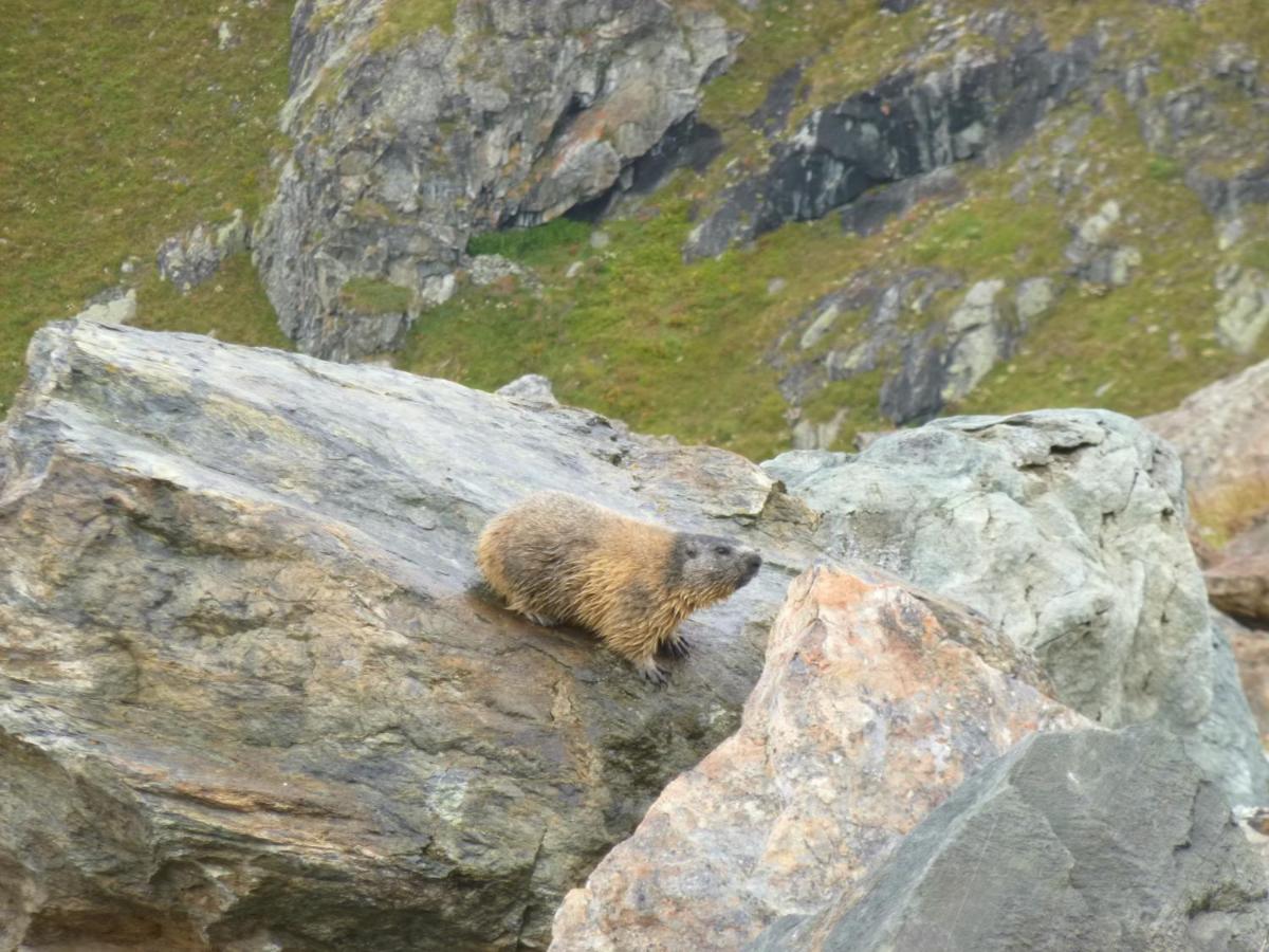 * Lioutraz * Chamonix
