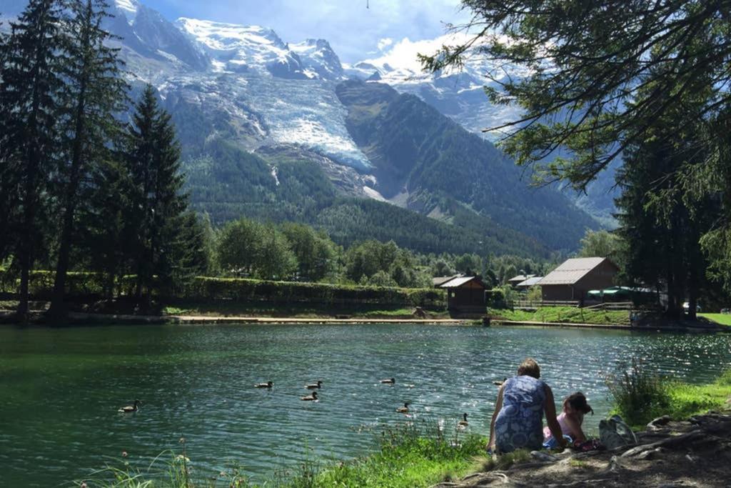 Chinook,la Praz,chamonix Mont Blanc * Chamonix