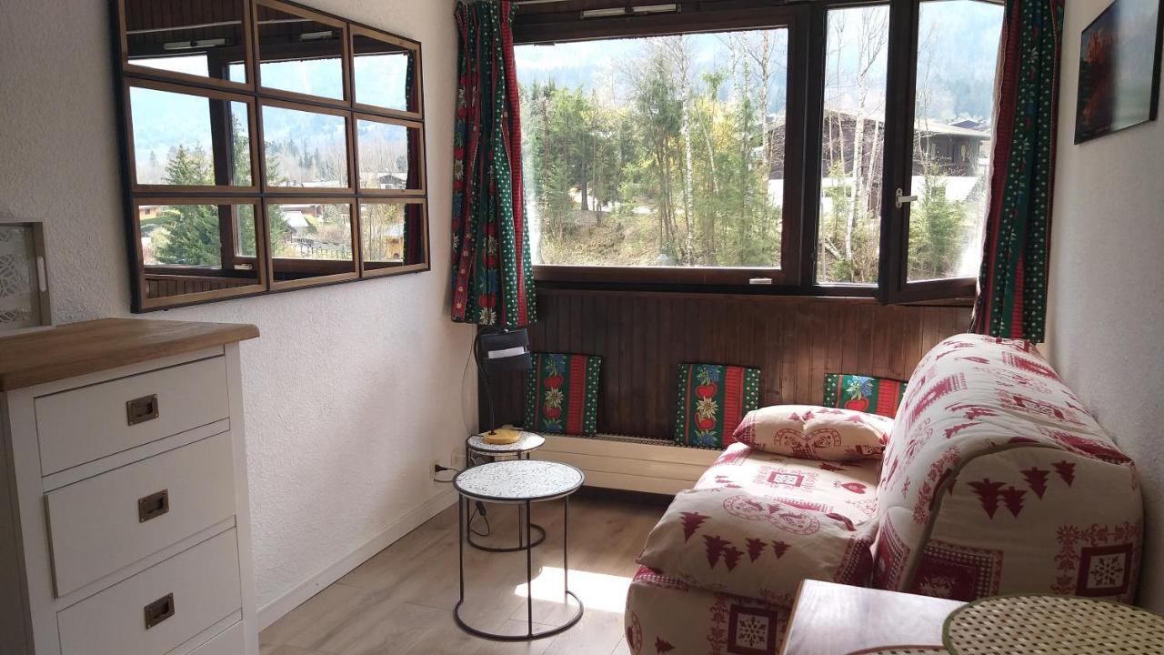 Plein Sud Vue Mont Blanc Appartement *