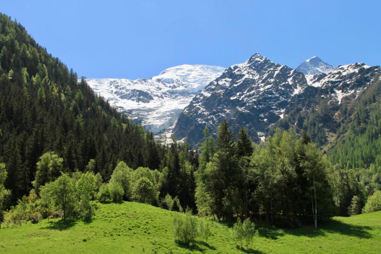 Modern With Garden * Chamonix