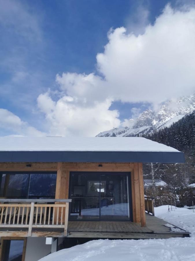 Modern With Garden Chalet Chamonix