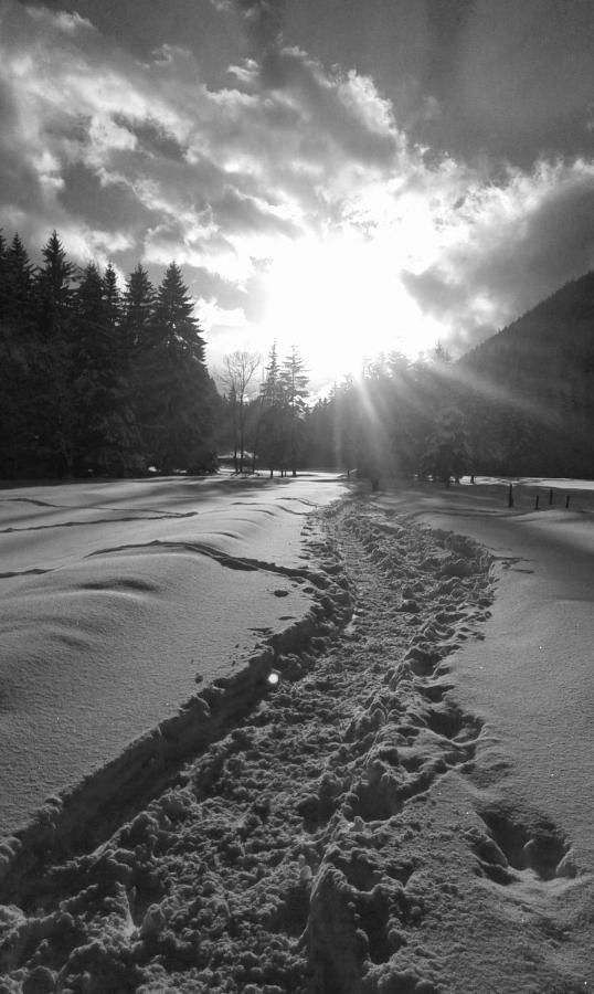 Apartment Le Chamoniard