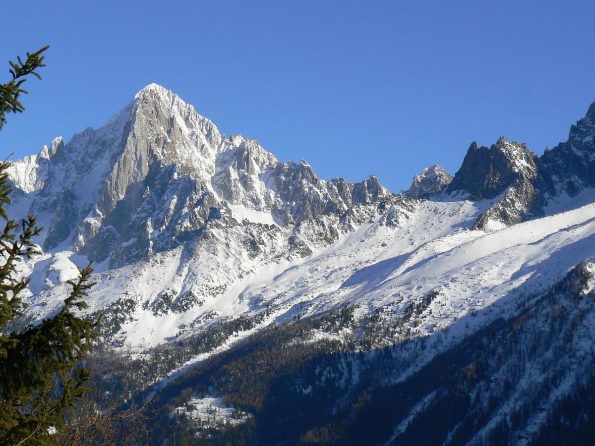 Le Chamoniard