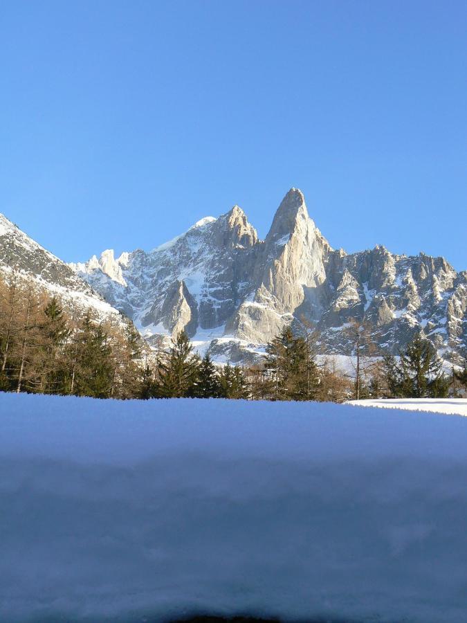 Le Chamoniard