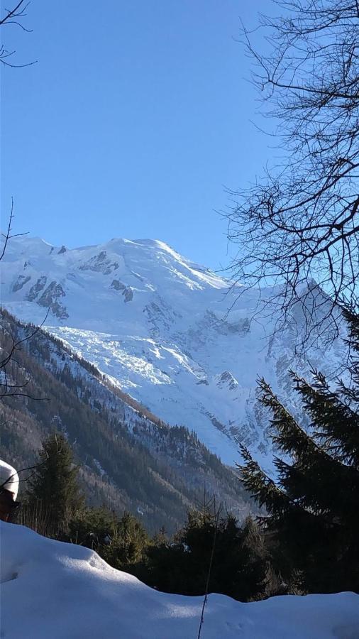 Montblanc 1 à 4 Personnes Appartement *