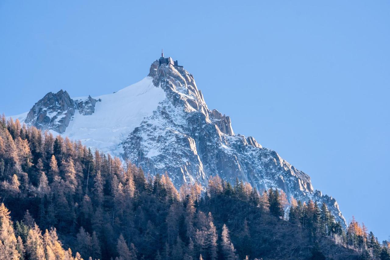 Batiment D * Chamonix