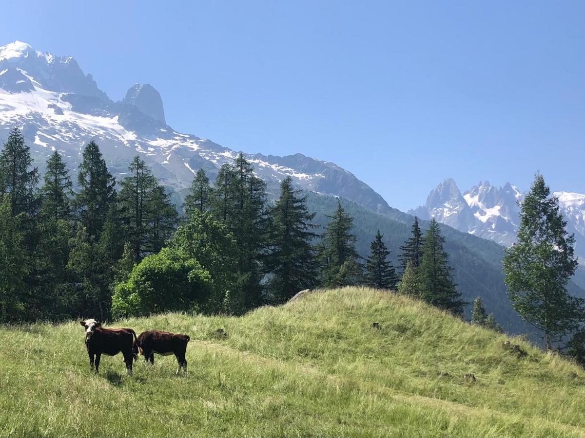 Arolles Chamonix
