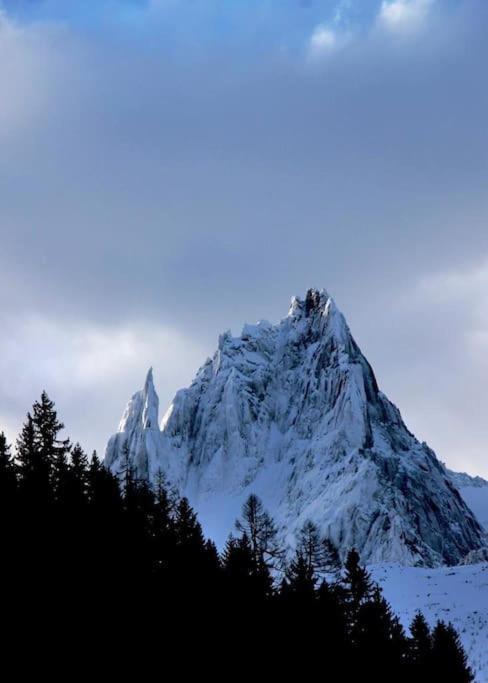 Maison Chaleureuse Avec Vue Sur Le Mont Blanc