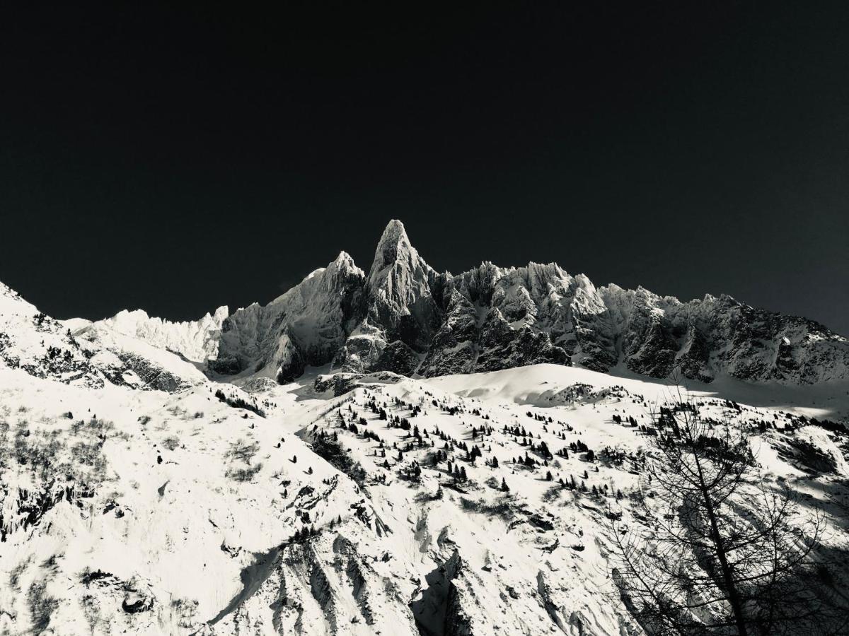 Grépon Mont-blanc Appartement *