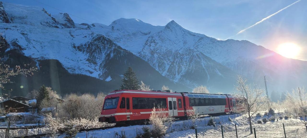 Plein Sud Vue Mont Blanc *