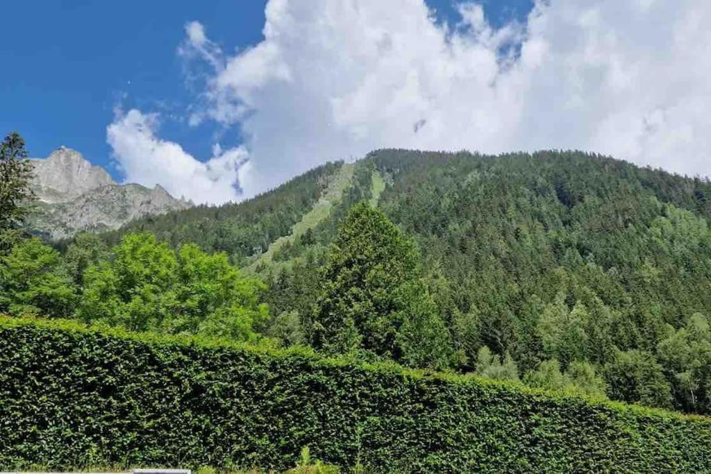 Le Brevent Studio De Charme Au Pied Des Pistes Apartment Chamonix