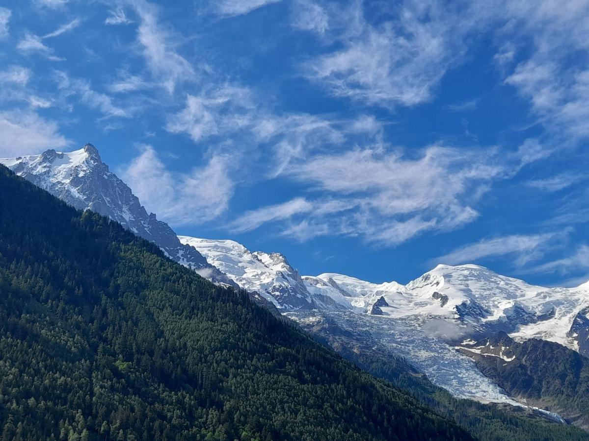 Apartment Le Petit Balcon Avec Vue Sur Le Mont-blanc 2 Etoiles Chamonix