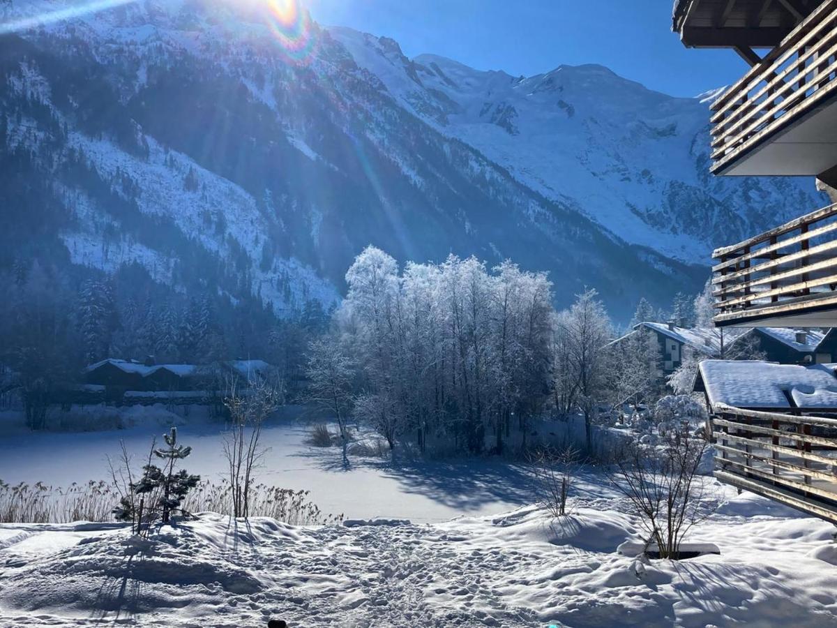Appartement Praz Vue Mt Blanc Piscine *