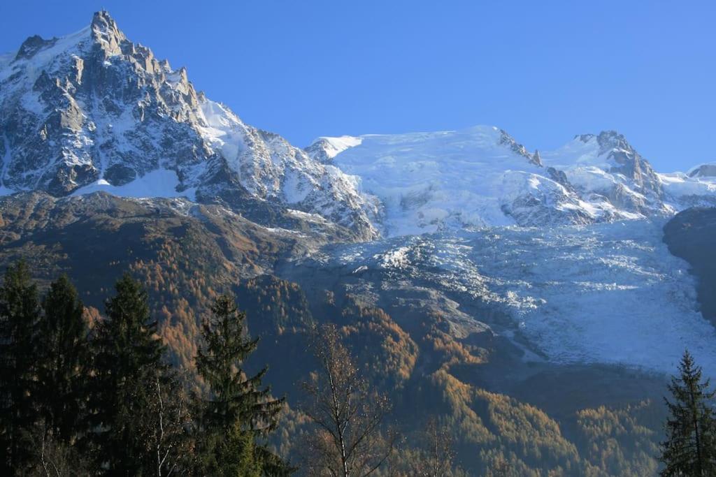 Appartement Centre 1 Piece+ Coin Montagne *