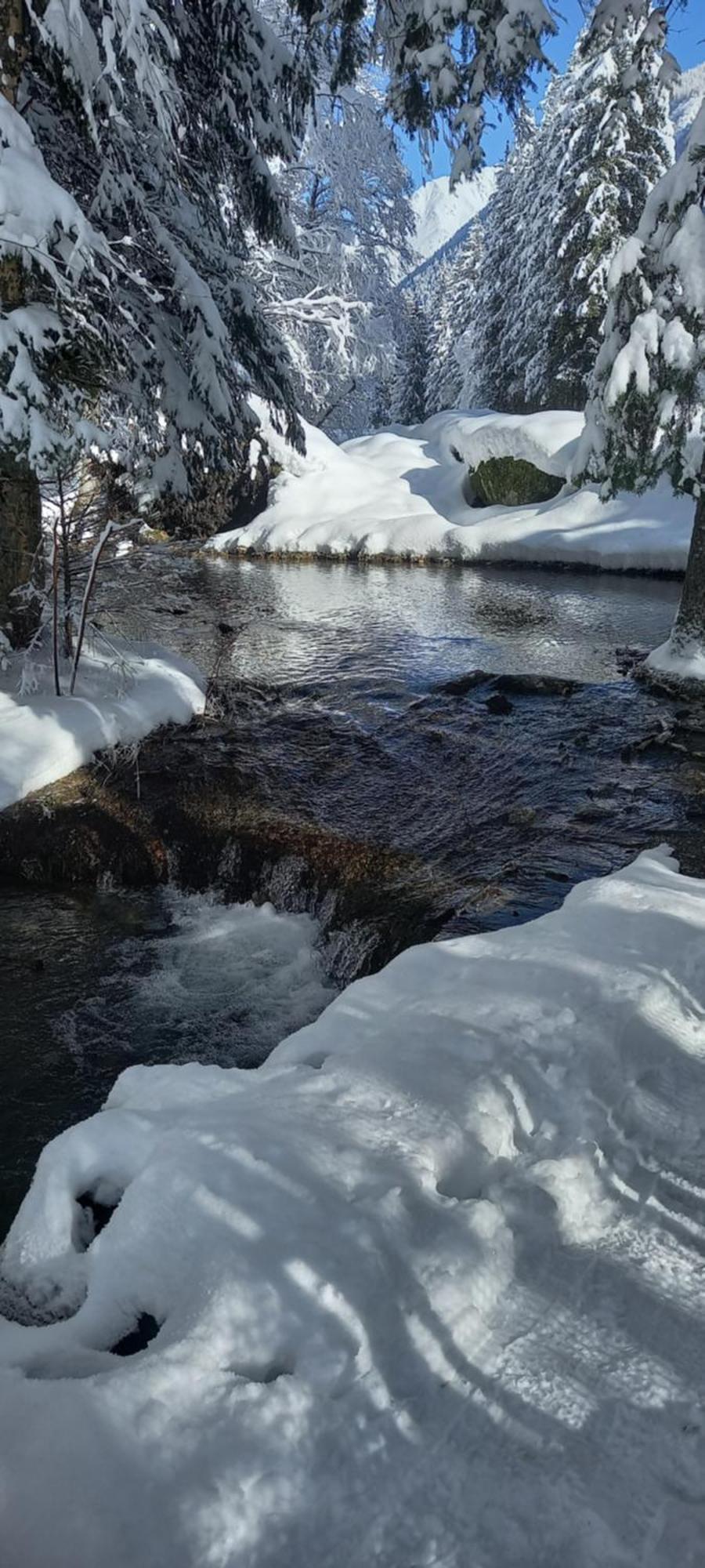 Montblanc 1 A 4 Personnes Apartment Chamonix