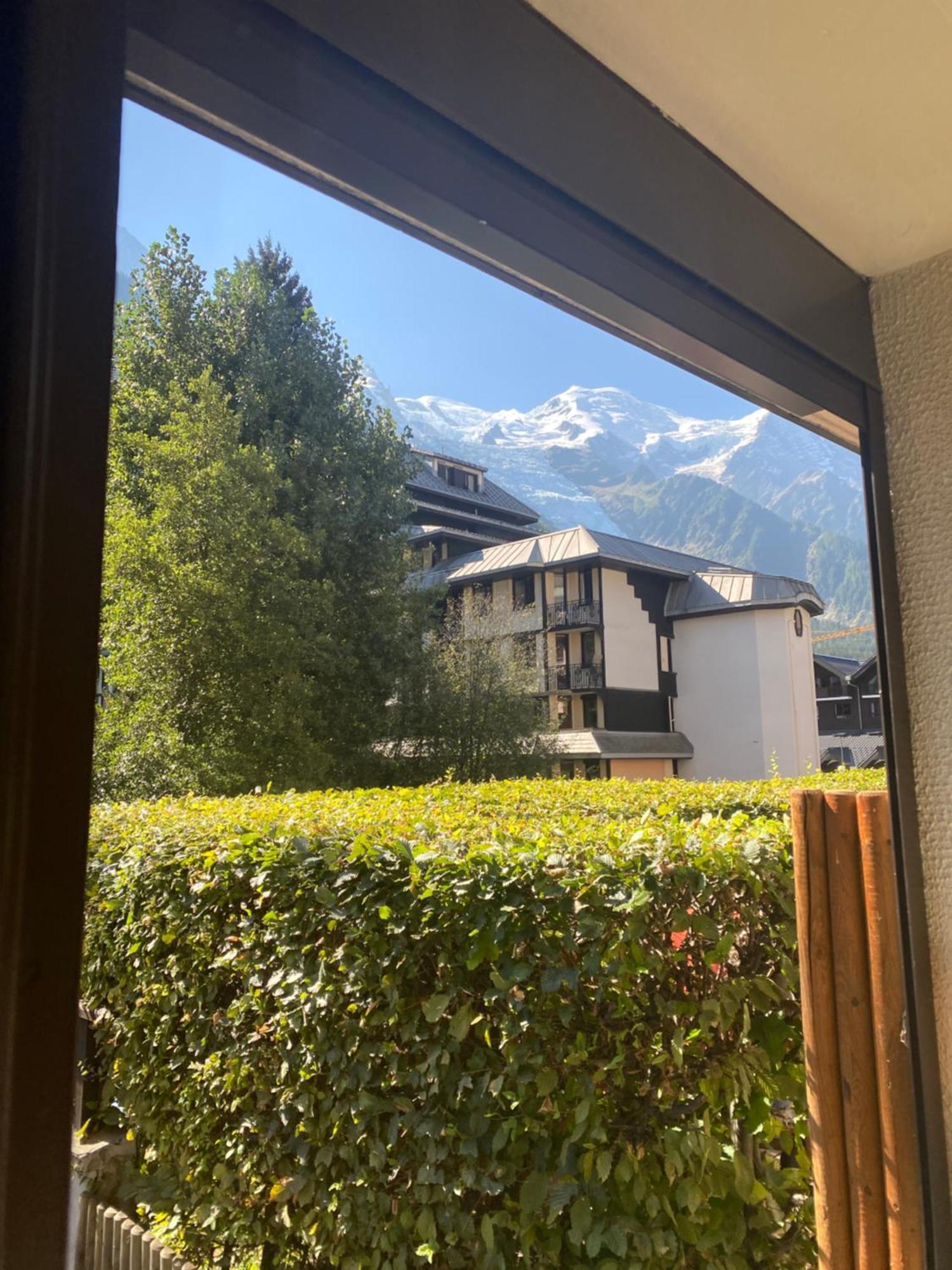 Mont Blanc View