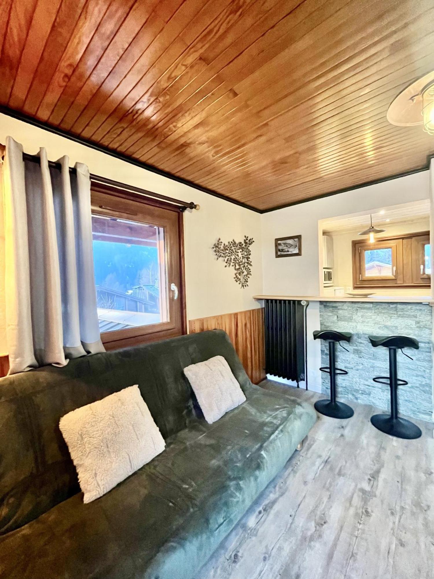 Apartment Le Chaney - T2 Dans - Massif Du Mont-blanc Chamonix