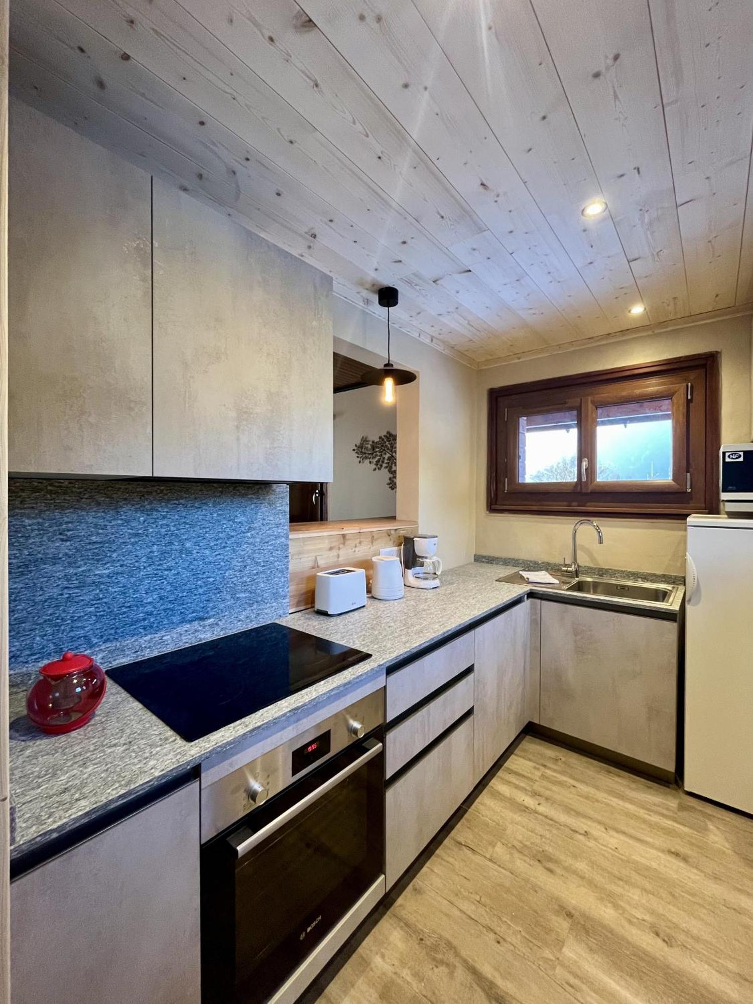 Le Chaney - T2 Dans - Massif Du Mont-blanc Apartment Chamonix