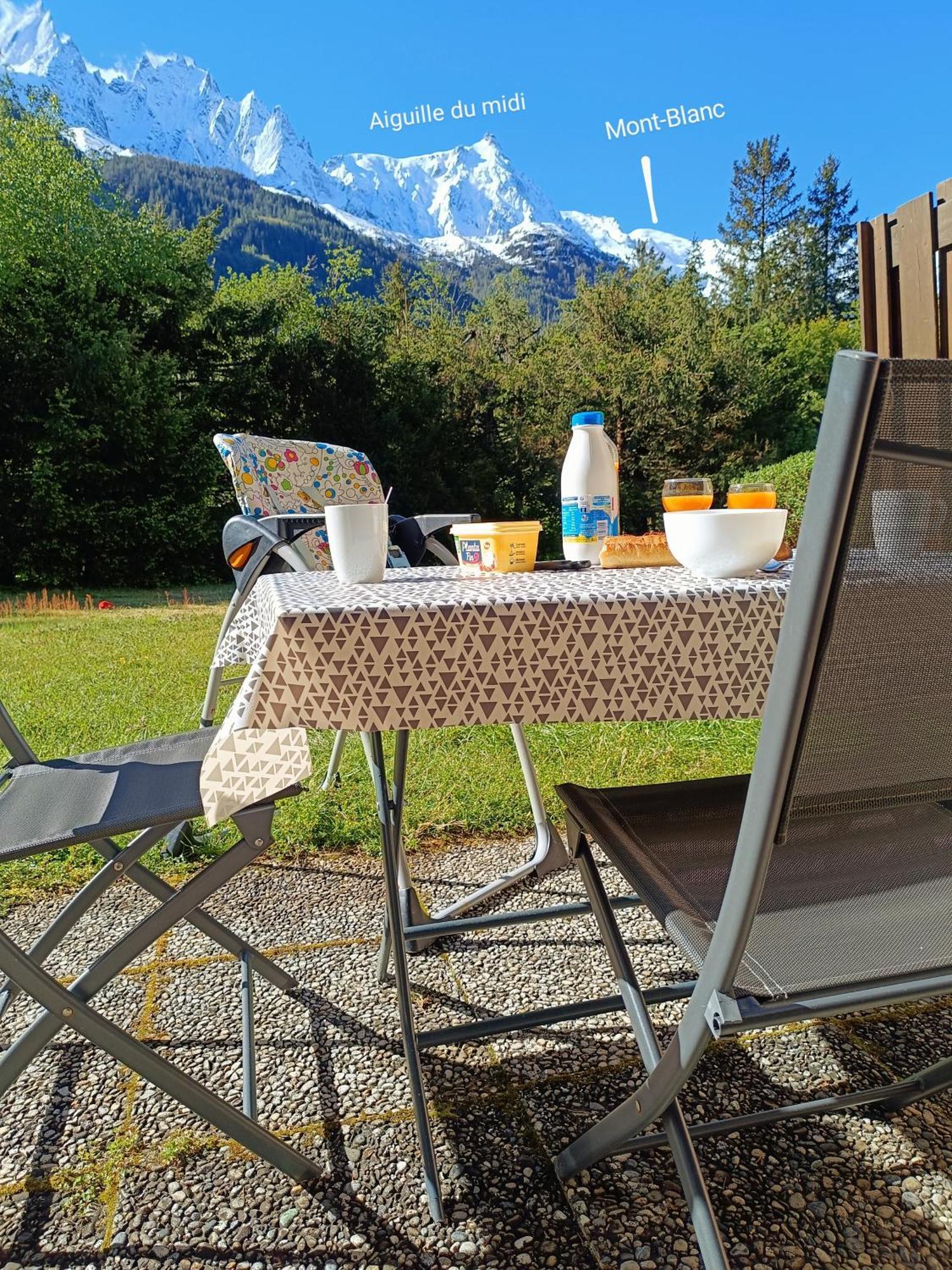 Montblanc 1 à 4 Personnes Appartement Chamonix