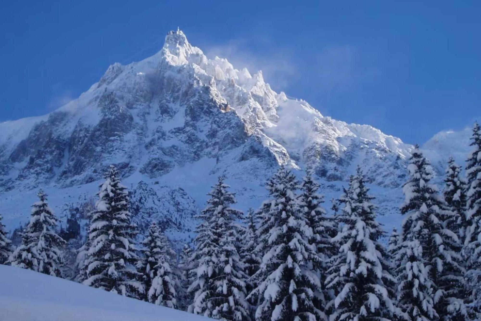Spacious With Garden * Chamonix