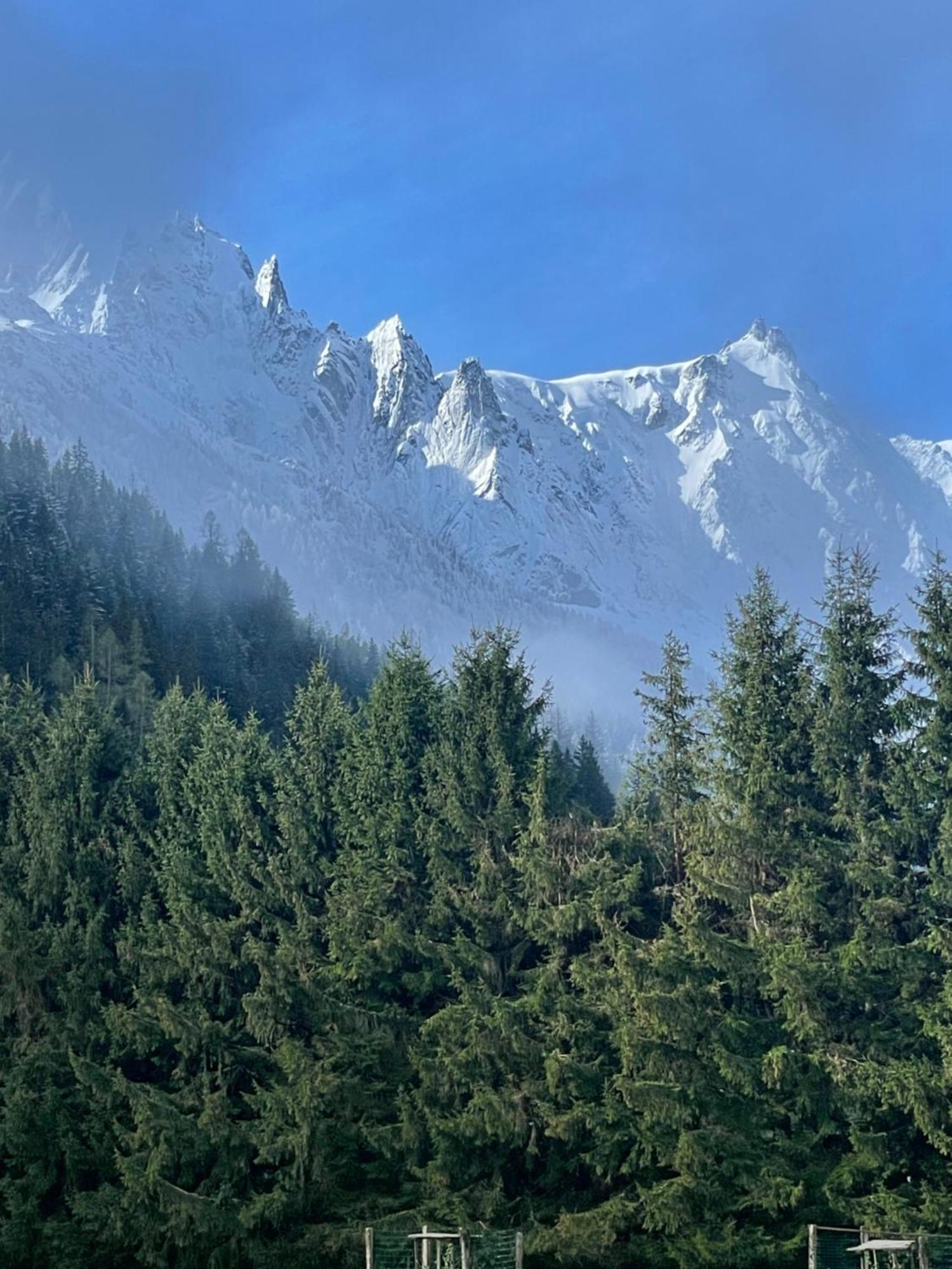 Large Peaceful For Mountain Adventures! Perfect For Flegere And Grand Montet Skiing