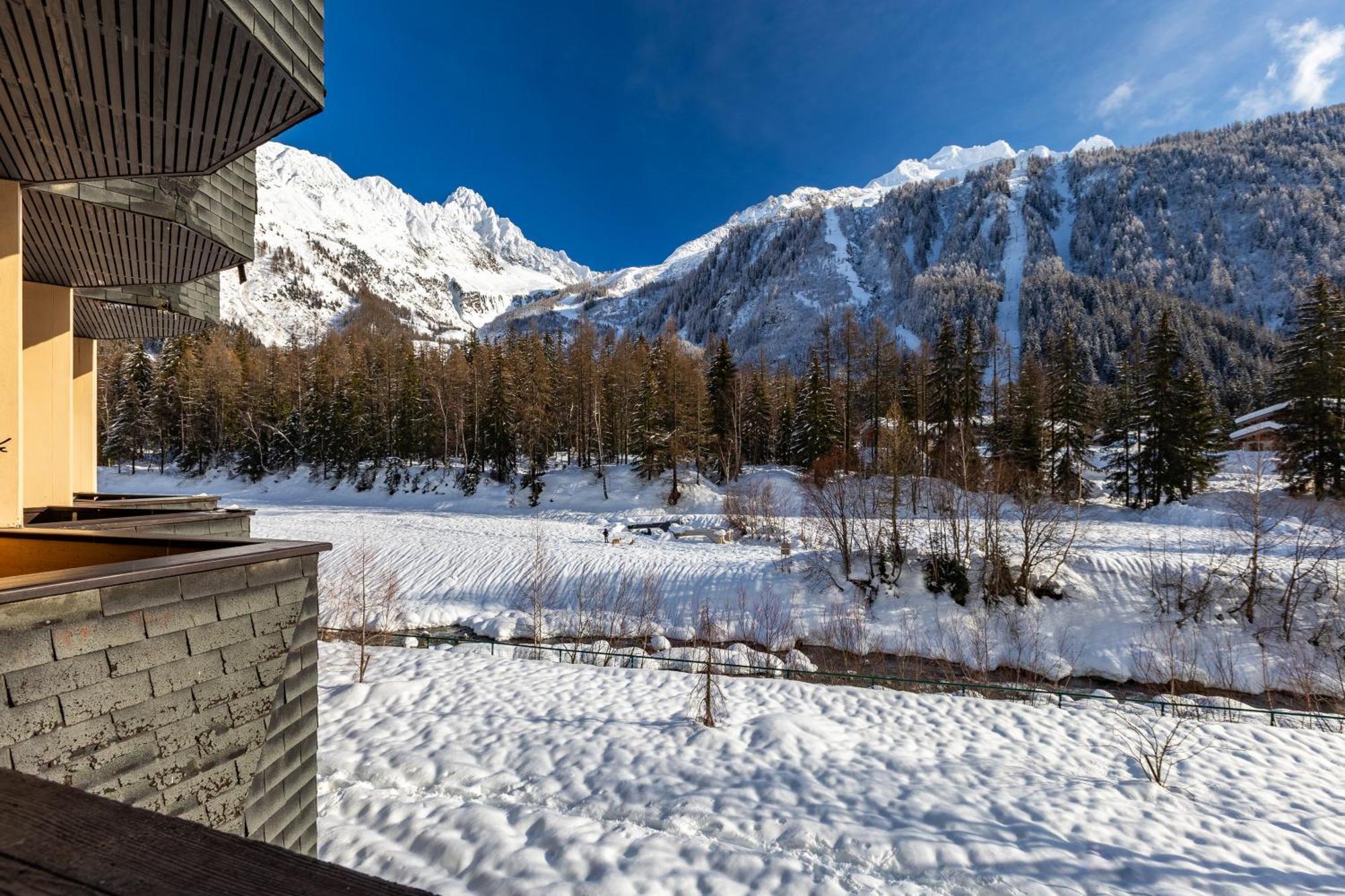 Apartment Grand Roc - Campanules 114 - Happy Chamonix