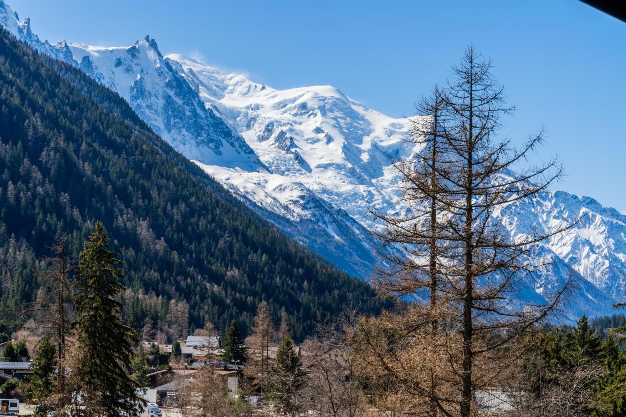 Apartment Ancolies - Happy Chamonix