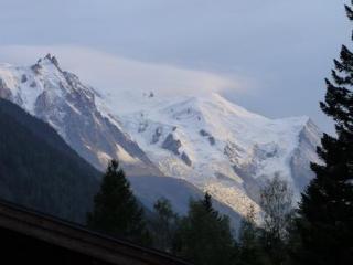 Apartment Les Rives D Argentiere *