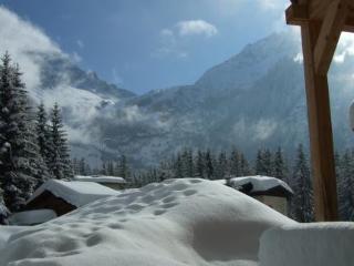 Les Rives D Argentiere Chamonix