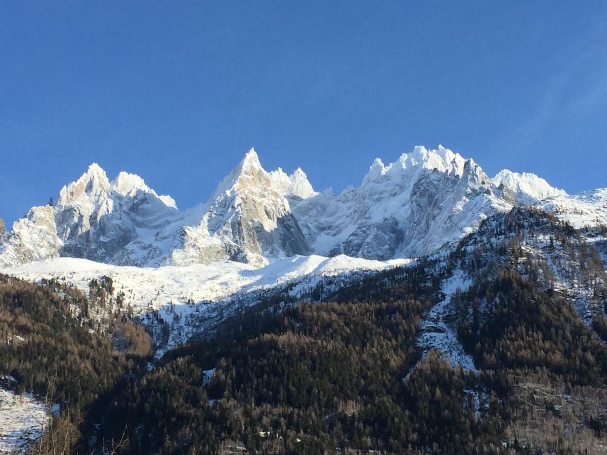 Le Petit M Au Pied Du Brevent Apartment Chamonix