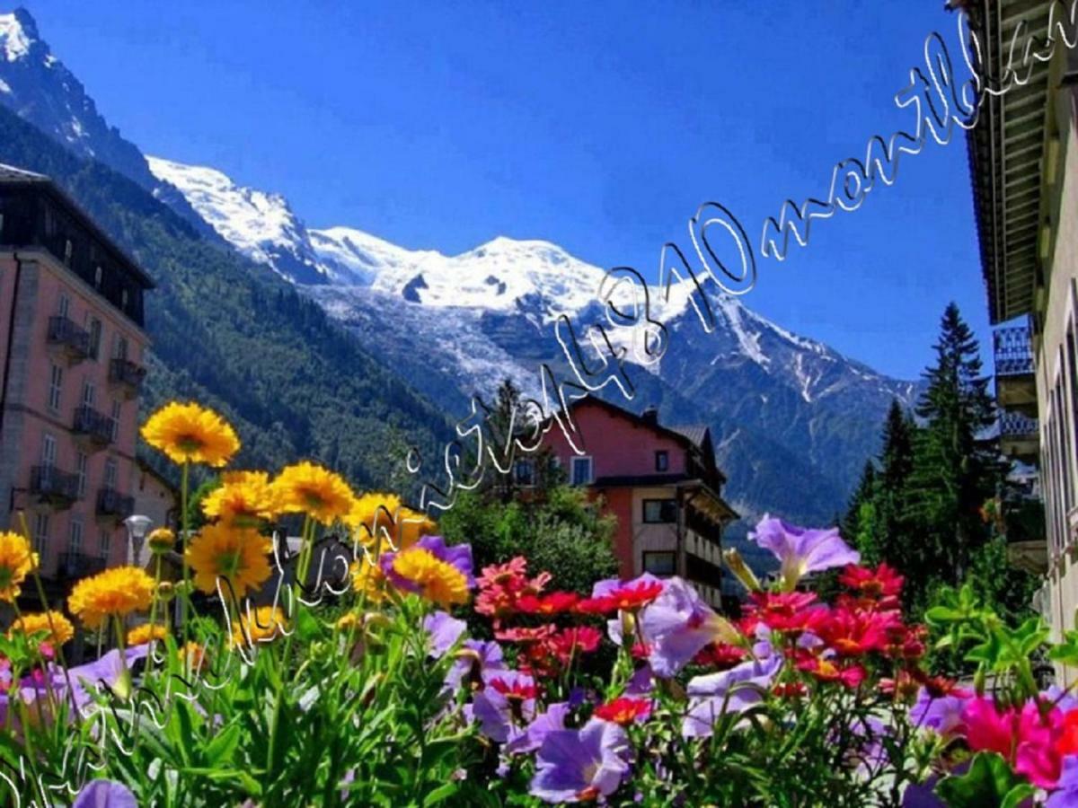 4810 Mont-blanc *