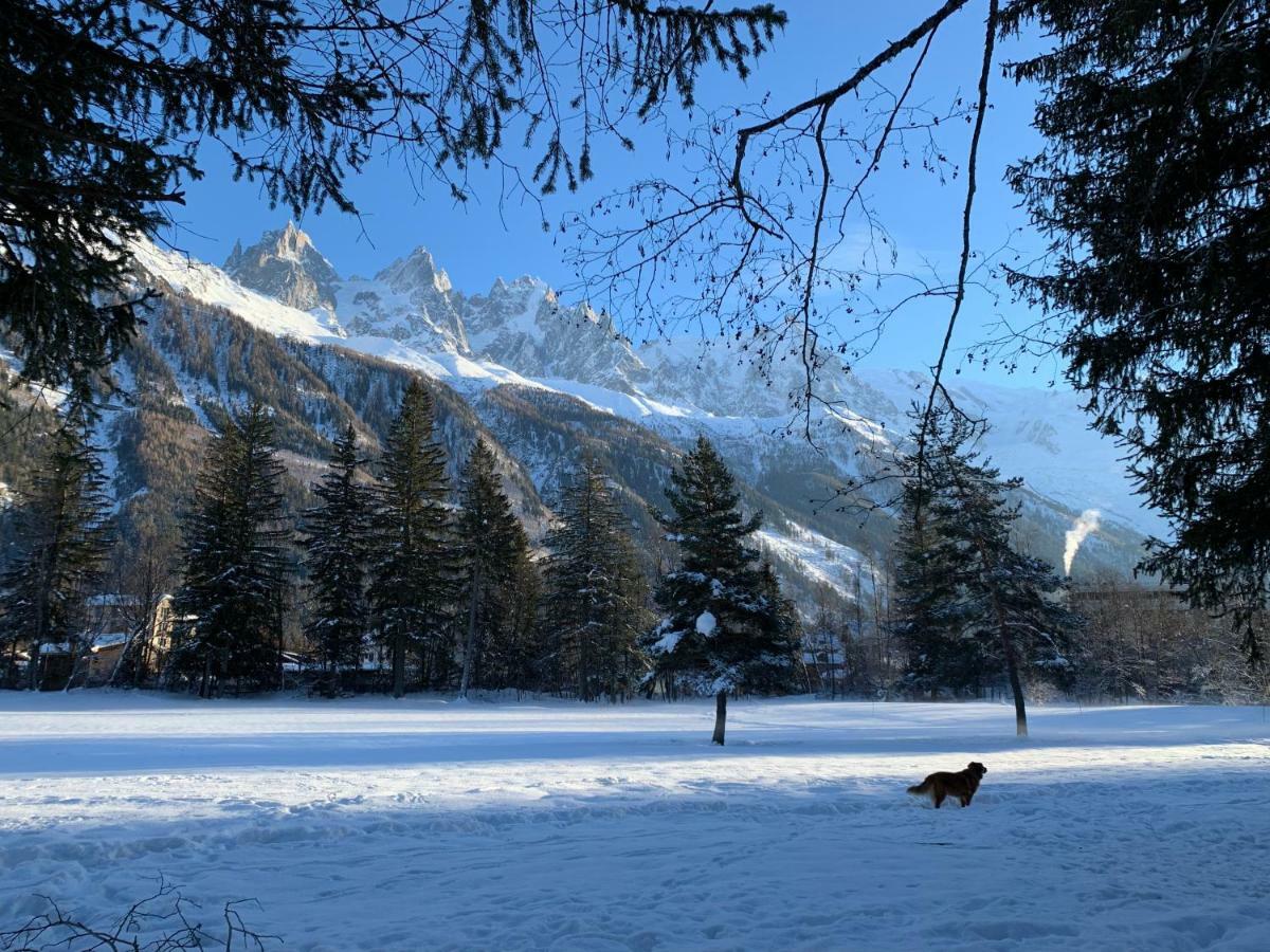 Maya, La Praz, Mont Blanc Chamonix