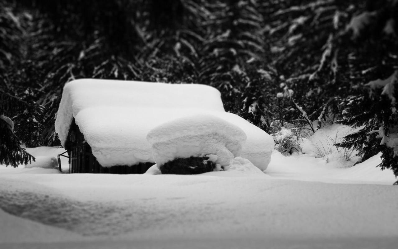 Apartment Maya, La Praz, Mont Blanc Chamonix