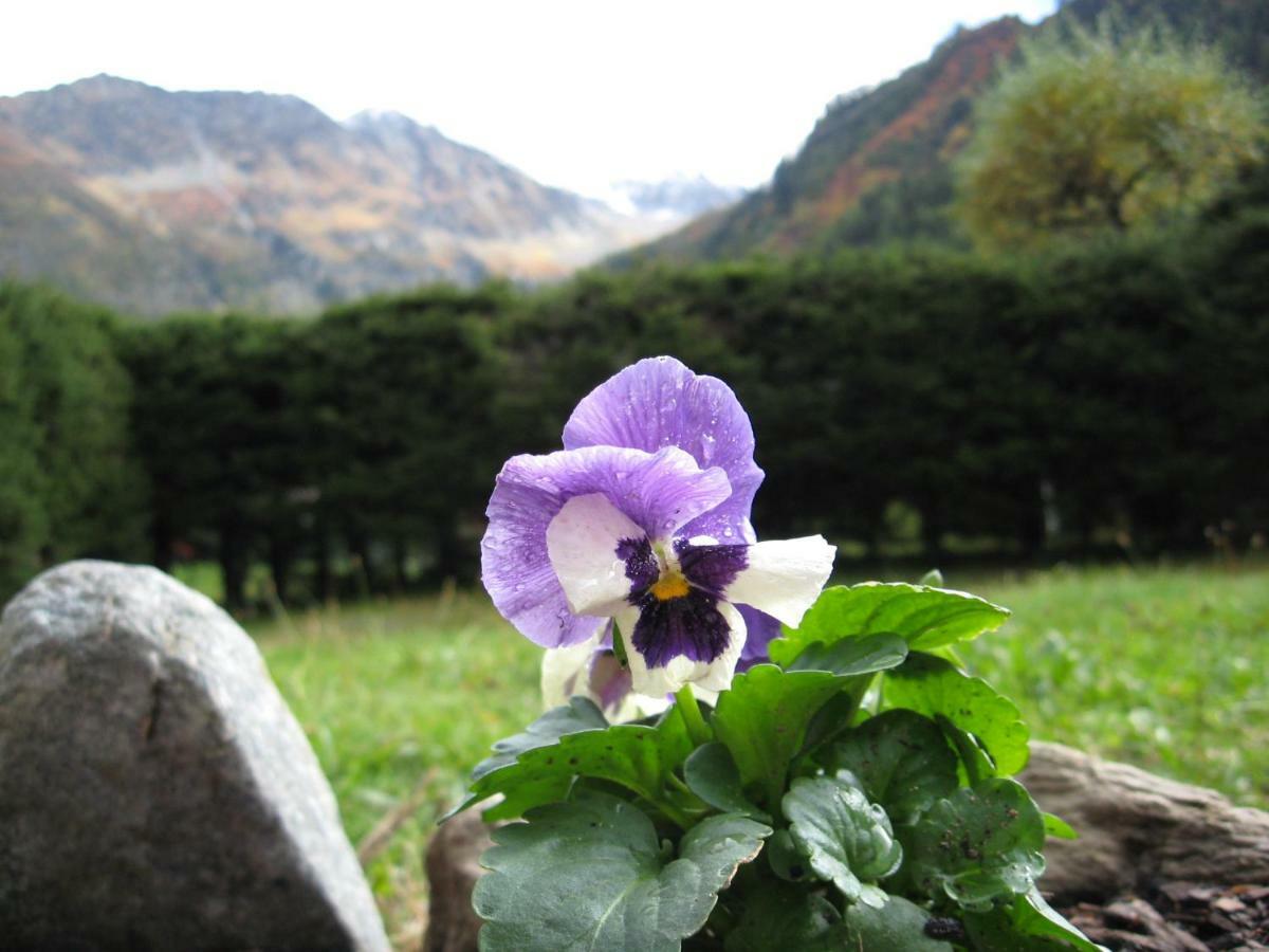 Pyrene Mont-blanc Chamonix