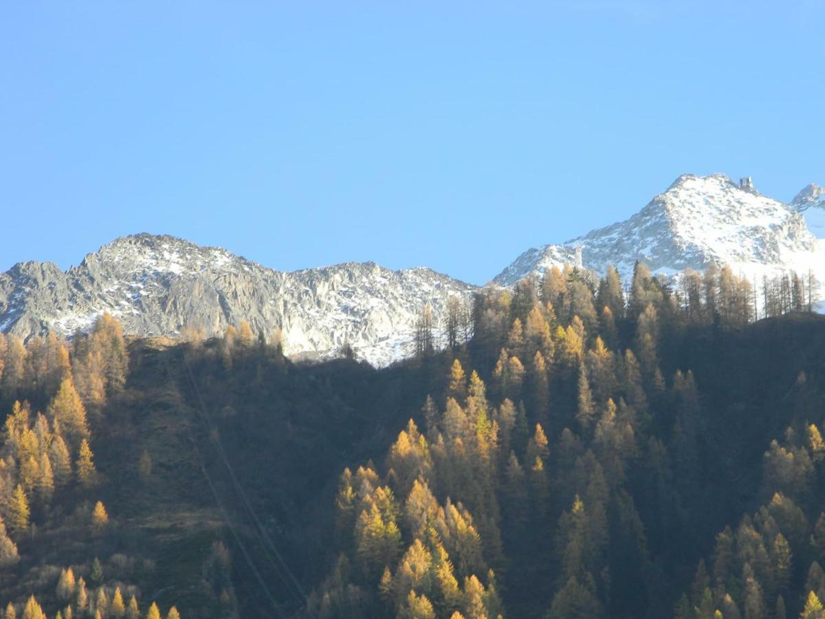 Cosy Proche Des Grands Montets * Chamonix
