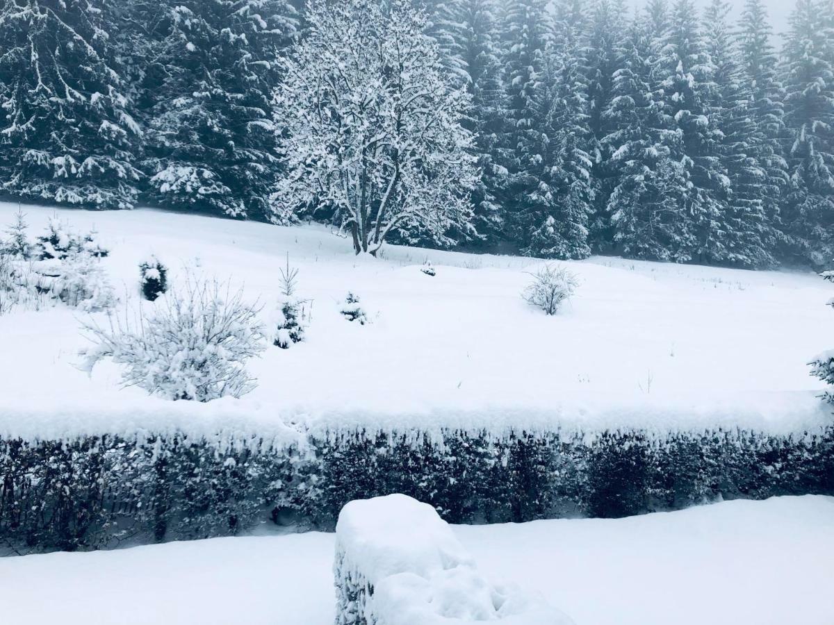 Duplex * Chamonix