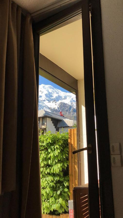 Mont Blanc View