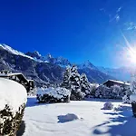Rez de Jardin - Chamonix vue Mont Blanc