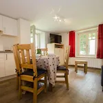Charmant T3 Renove Avec Jardin, Parking & Wifi A Chamonix - Fr-1-343-206