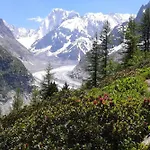 Appartement Cosy A Chamonix Mont Blanc 30M² Local A Skis