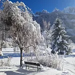 Les Tussilages - Terrasse Vue Mont-Blanc