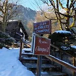 Duplex Renove 3 Pieces Avec Jardin, Parking Et Animaux Admis A Chamonix - Fr-1-517-25