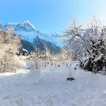 Violette De Cham - Jardin Prive - Vue Mont Blanc