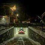 Chalet Red Fox