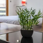 Starton Furnished Flat