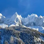 Chamonix Superbe Appartement Vue Mont Blanc